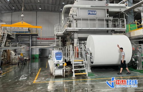探訪 華北紙都 不打價格戰(zhàn),造紙廠還能 卷 什么